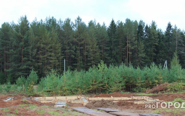 На болоте в Кировской области нашли останки грибника, пропавшего 6 лет назад