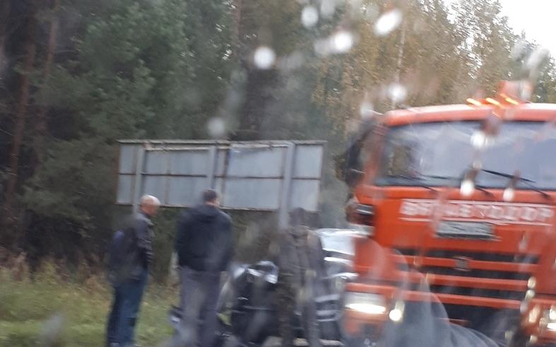 Перед Казанским поворотом внедорожник сбил лося