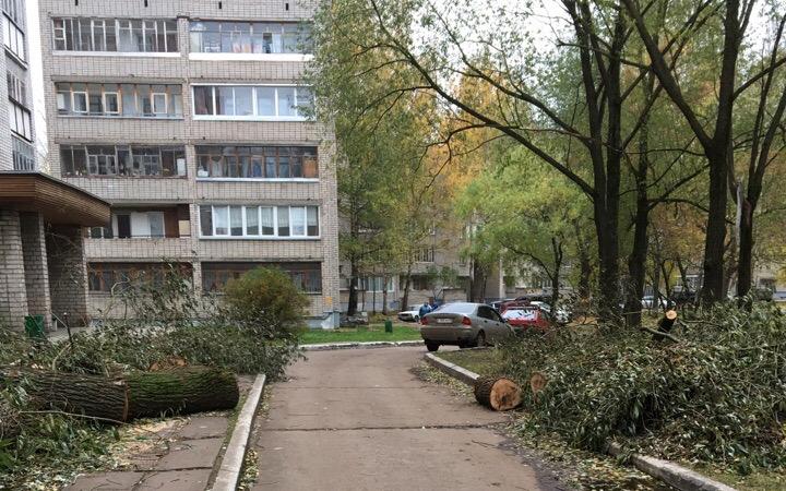 В Кирово-Чепецке двор завалили старыми деревьями