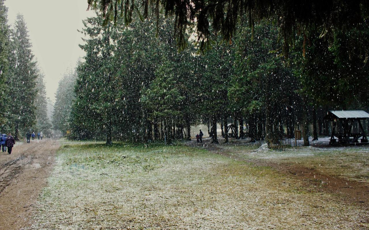 Погода в Чепецке: в начале недели - заморозки, в конце - потепление