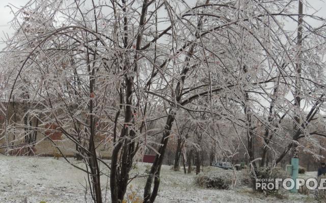 Стало известно, какой будет погода в Кирово-Чепецке на новой рабочей неделе