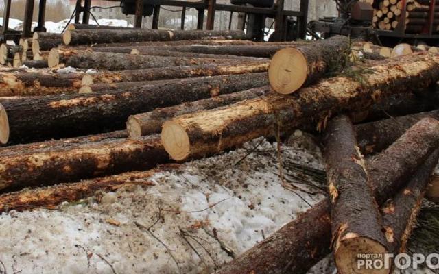 В Чепецке вынесли приговор мужчине, который незаконно вырубил 50 кубометров леса
