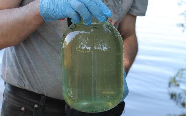 В Чепецком районе властей оштрафовали за загрязнение пруда канализационными стоками