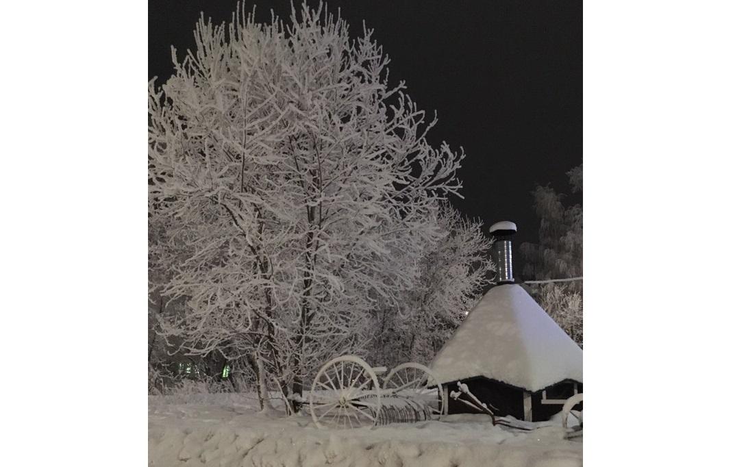 «Город превратился в белую сказку»: чепчане восхищаются деревьями, покрытыми изморозью