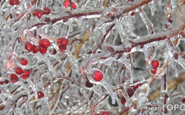 Чепчан предупредили о резком похолодании до -23 градусов в выходные