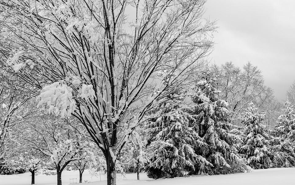 К концу недели температура в Чепецке может опуститься до -40 градусов