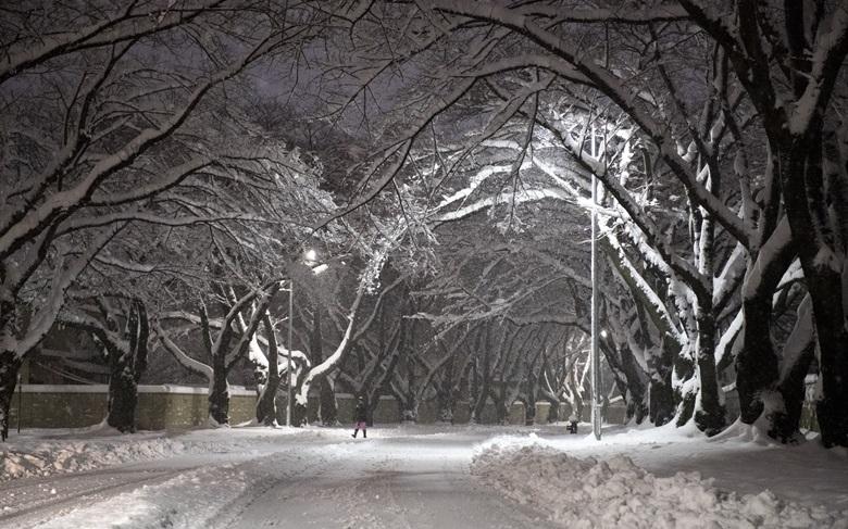 Синоптики рассказали, какой будет рабочая неделя в Кирово-Чепецке