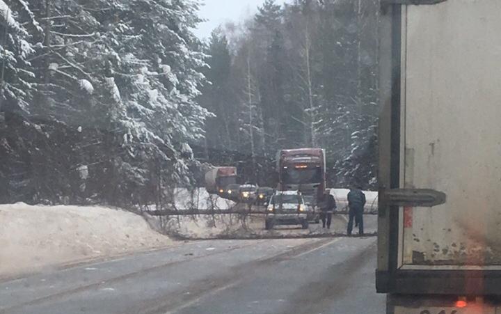 В Чепецком районе на трассе дерево упало перед машиной МЧС