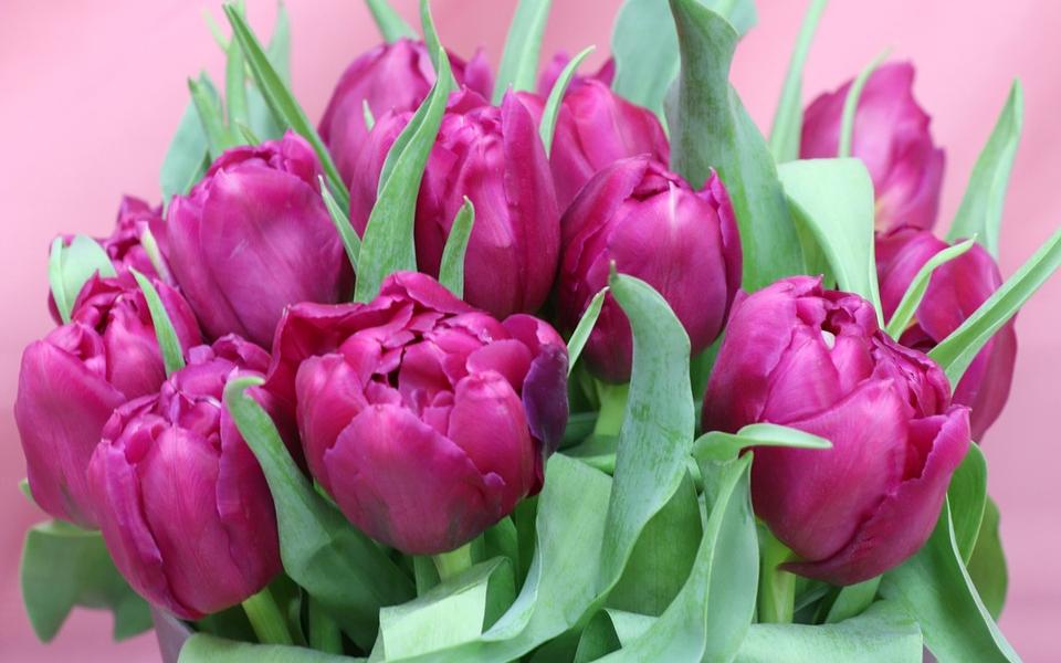 В Роспотребнадзоре дали советы, как выбрать цветы к 8 Марта
