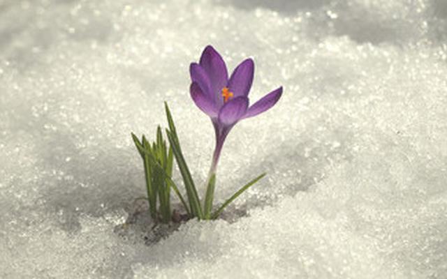 В Чепецке и области ожидаются потепление, дожди и мокрый снег