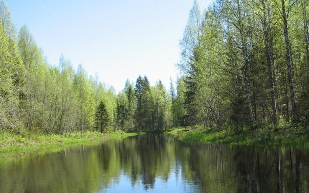 К 2022 году в Кировской области появится национальный парк