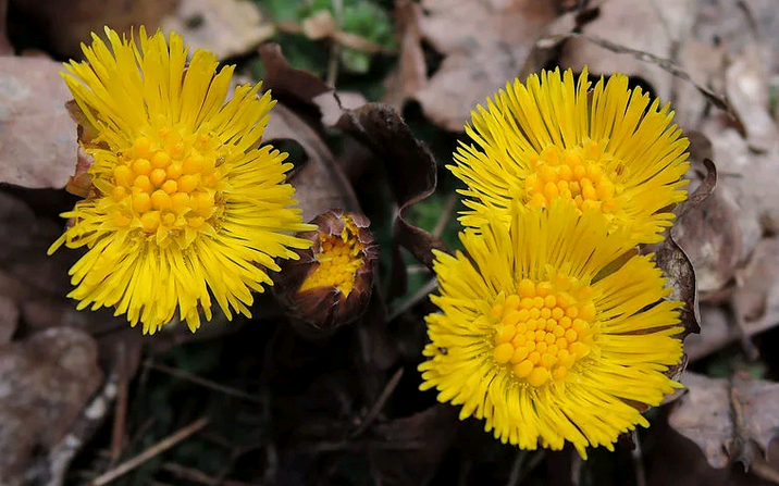 Последняя неделя марта в Кирово-Чепецке ожидается теплой и дождливой