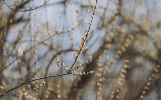 На рабочей неделе в Чепецке будет тепло, но дождливо