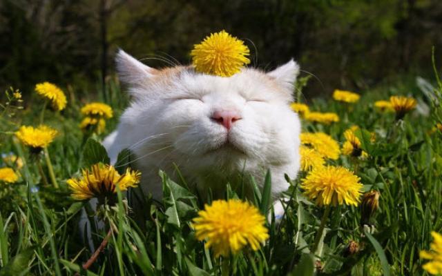 Роструд напомнил, сколько дней будем отдыхать в мае 2019 года