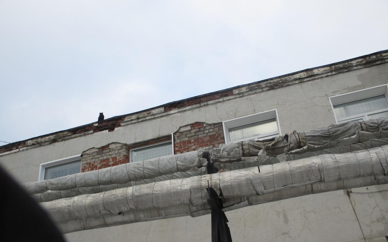 В Чепецке жители спасли кошку, которая две недели провела на крыше дома