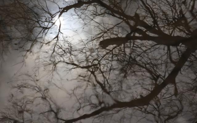 В Чепецке в ночные часы прогнозируют похолодание до -8 градусов