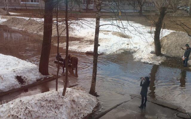 В Кирово-Чепецке дети катались на резиновой лодке во дворе