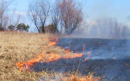В Кирово-Чепецке и районе за день зафиксировано 3 пожара на открытой территории