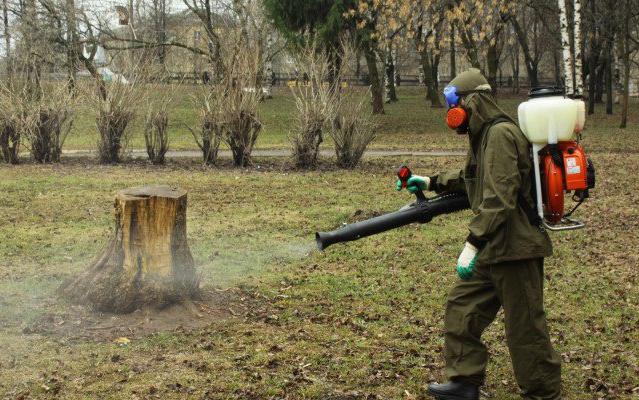 В Кирово-Чепецке пройдет обработка территории от клещей