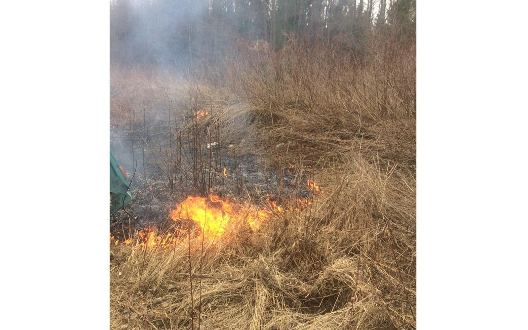Очевидец: «В Кирово-Чепецке полыхала трава у тропы здоровья»