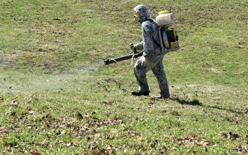 В Кирово-Чепецке начинается обработка территорий от клещей