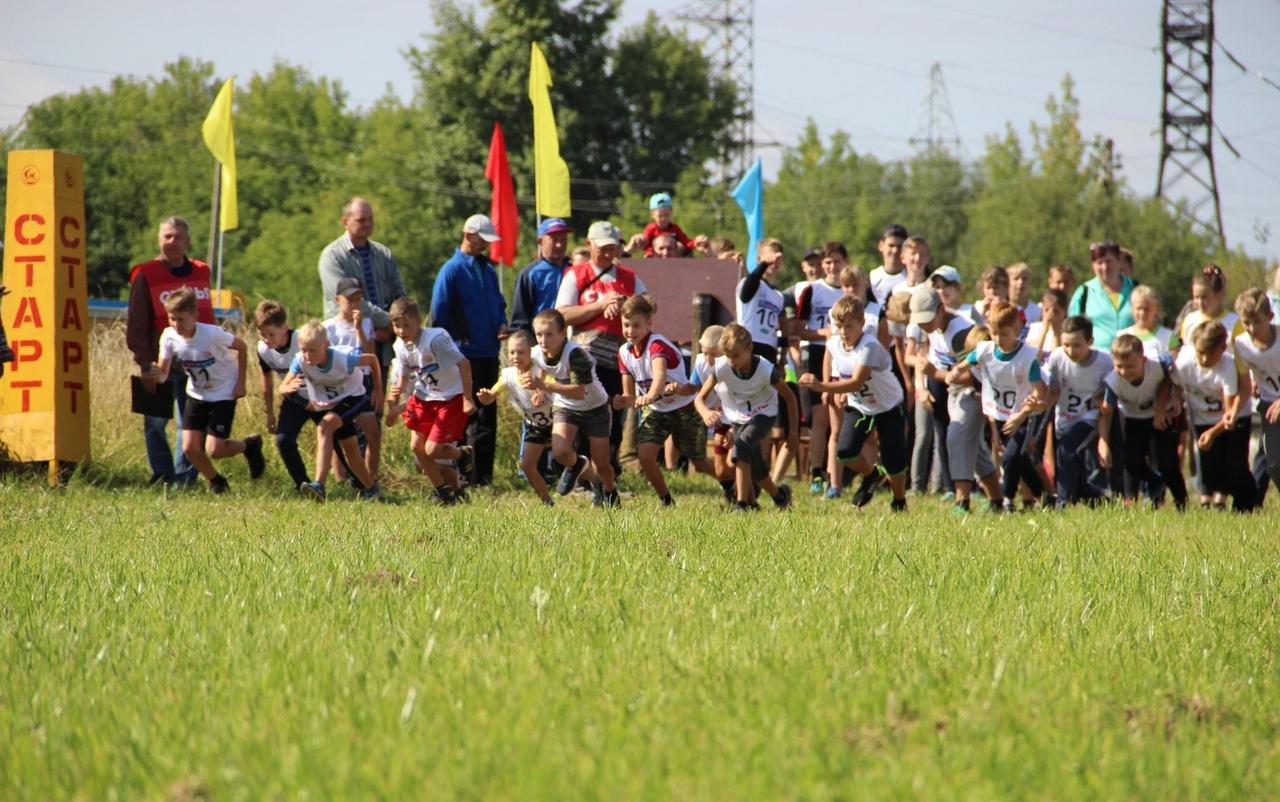 Чепчане смогут решить судьбу территории "Карпат" на проектных семинарах