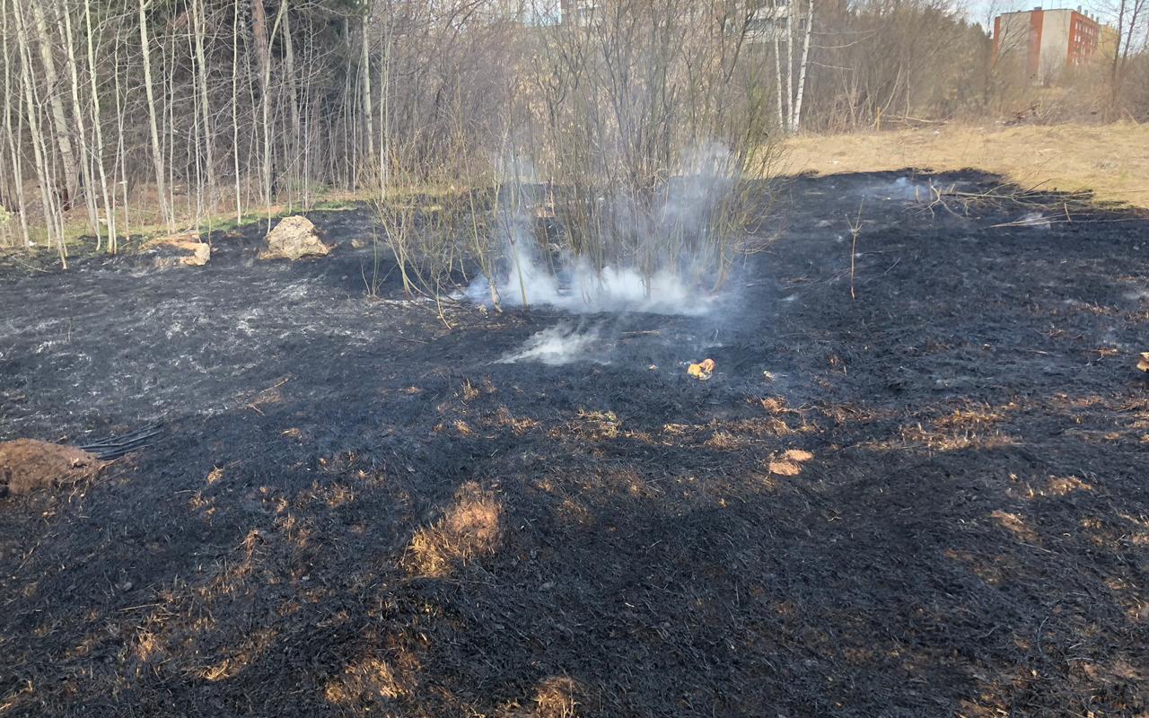За неделю в Кирово-Чепецке зафиксировано 7 возгораний травы и мусора