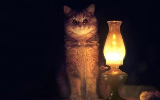 В Кирово-Чепецке в течение недели будут отключать электричество в домах