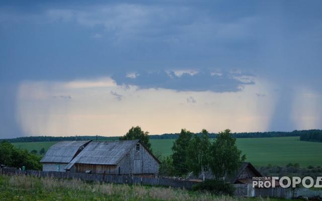 «Тепло, ясно, но ветрено»: появился обзор погоды на лето-2019 в Кировской области