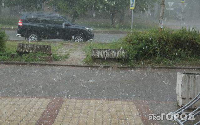 Специалисты рассказали, как чепчанам защитить посадки от заморозков