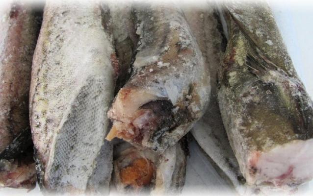 В Кирово-Чепецке обнаружили более 170 тонн опасного минтая