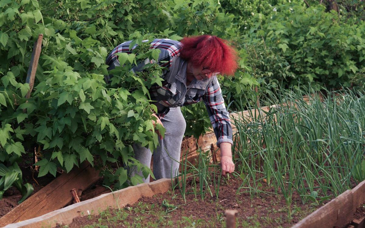 Чепчанин обворовал садовый домик, пока хозяева были заняты работой на участке