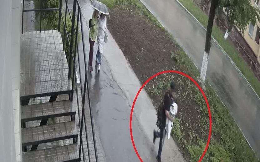 Момент кражи обезьяны из зоопарка в Чепецке попал на видео