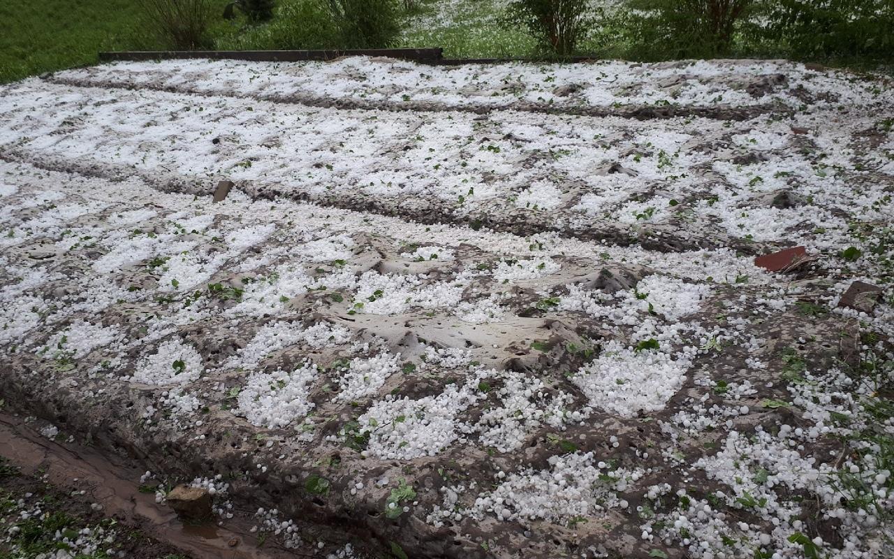 «Град выбил все посадки, пробил теплицу и крыши машин»: градовой шторм пронесся по Чепецкому району