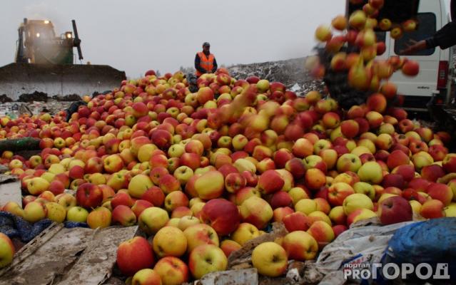 В Роспотребнадзоре предложили запретить уничтожение продуктов питания