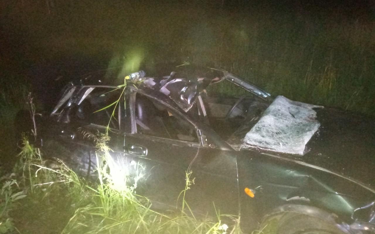 В Кировской области из-за выбежавшего лося перевернулась "Лада": пострадали четверо