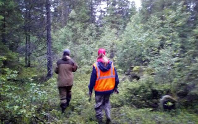 В Кировской области грибник провел в лесу пять дней без еды