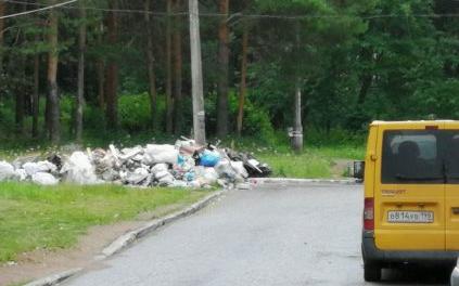 В Чепецке заметили стихийную свалку