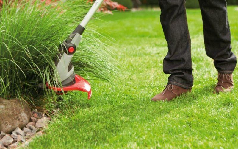 Триммеры или газонокосилки: эксперты изучили, чем лучше косить траву