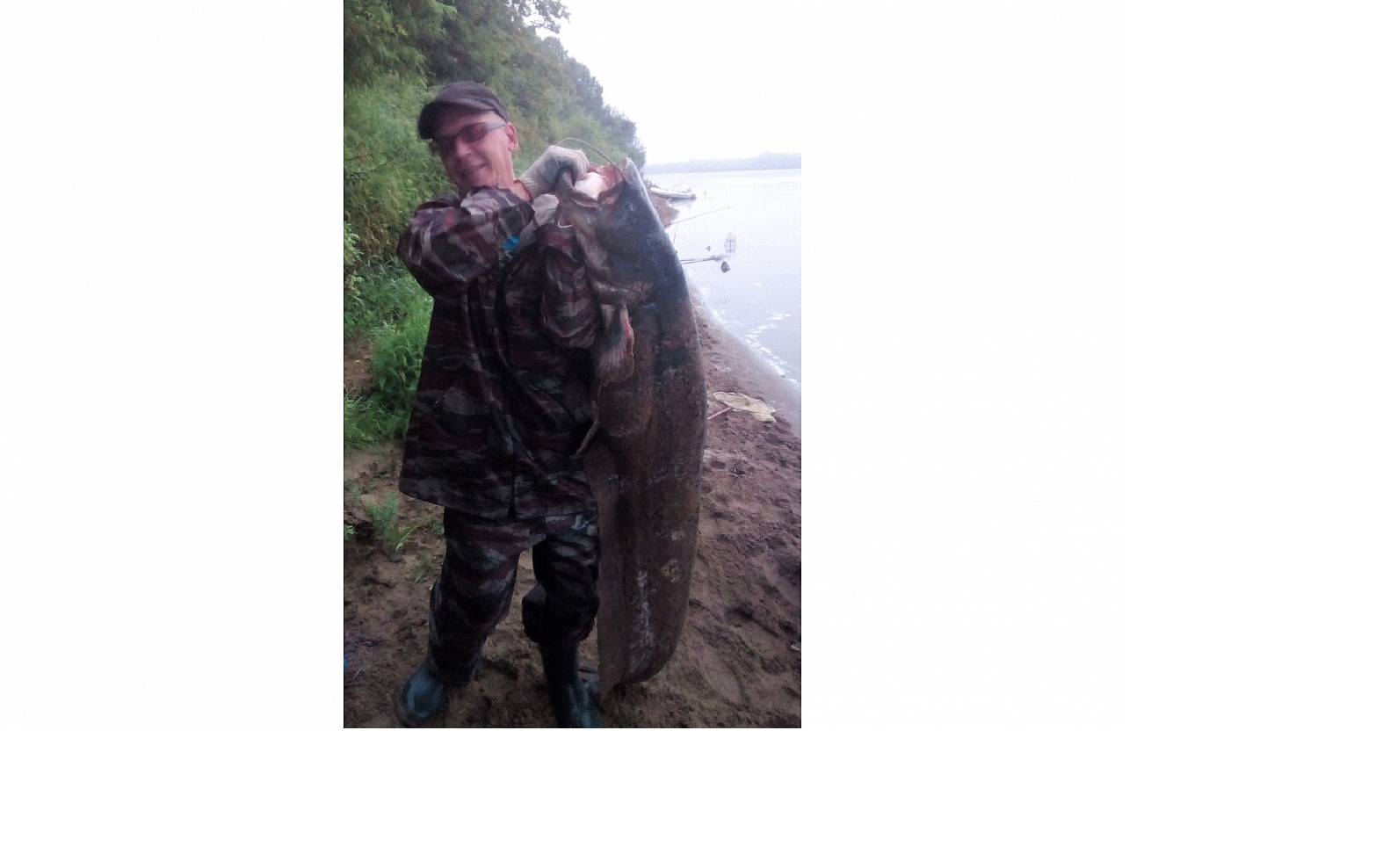 В Вятке поймали сома длиной с человеческий рост