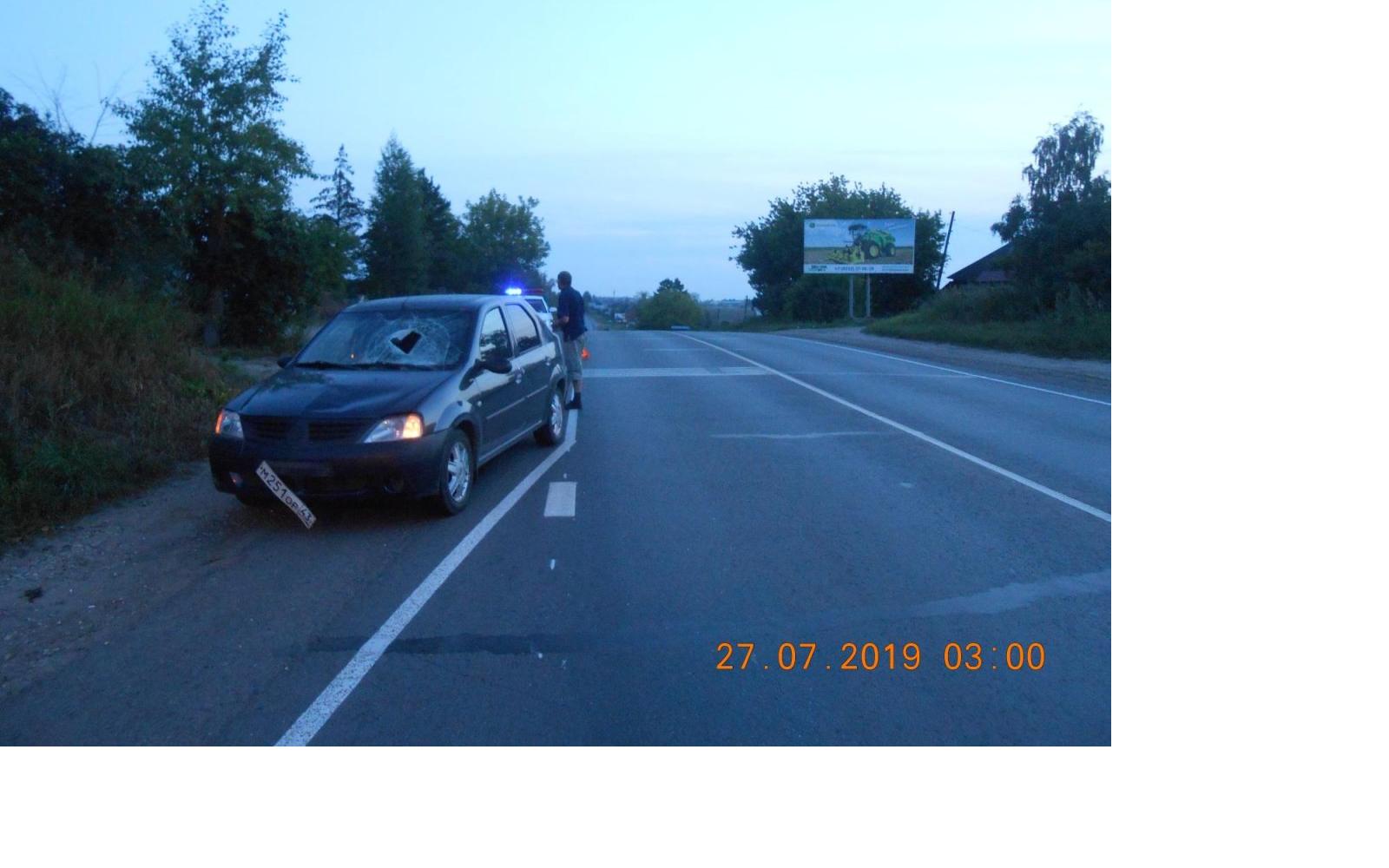 Ночью в Кирово-Чепецком районе иномарка сбила пешехода на трассе
