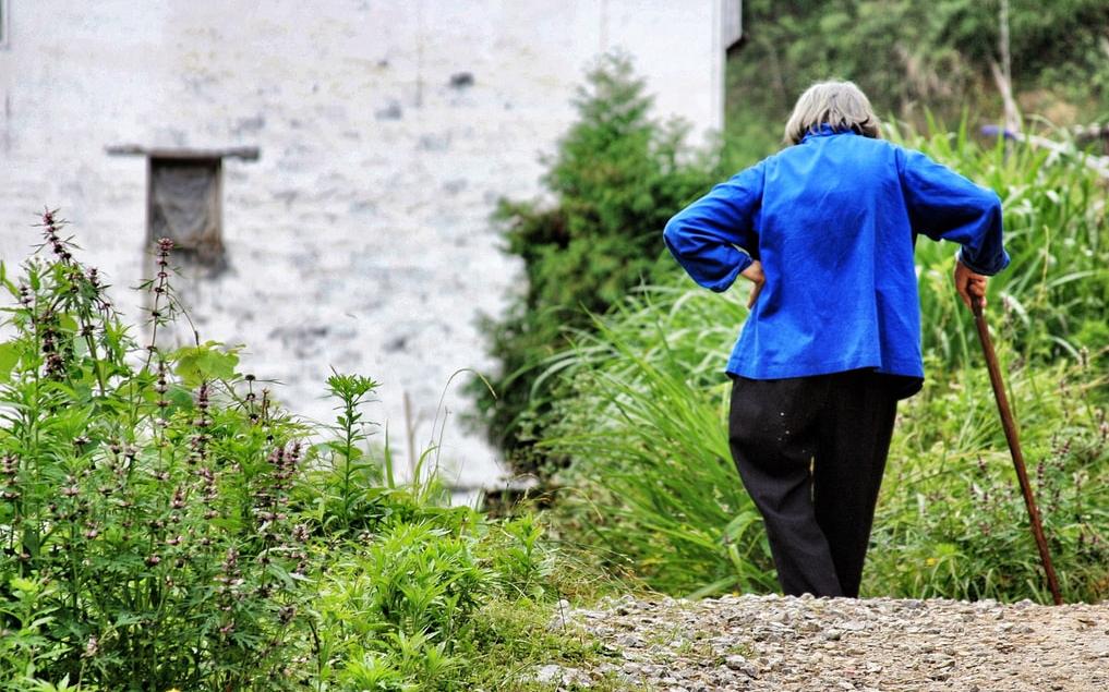 В Кирово-Чепецком районе нашли без вести пропавшую пенсионерку
