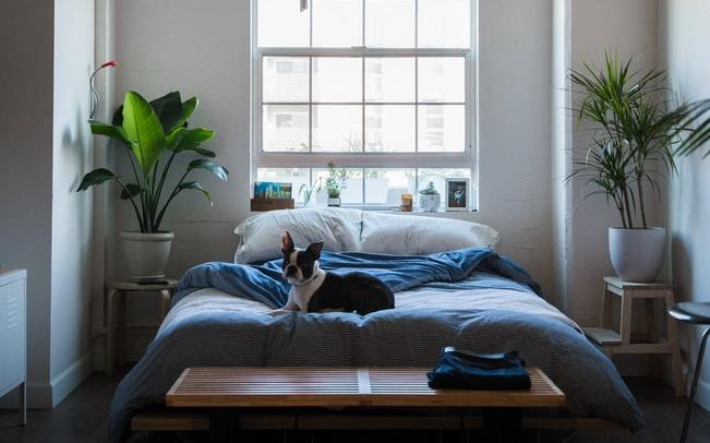 Гороскоп на воскресенье, 11 августа: новое хобби у Рыб и подозрительный поклонник у Весов