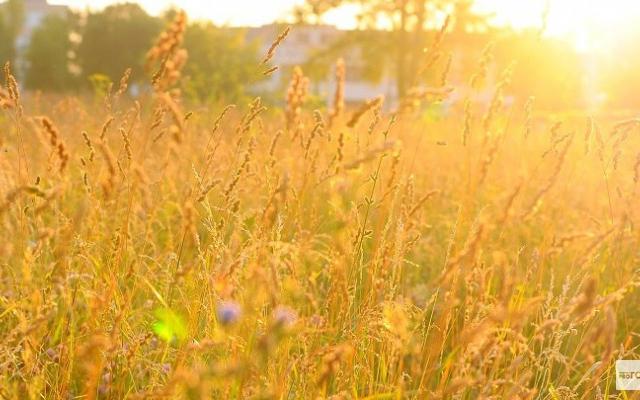 Стало известно, какая погода ждет чепчан в выходные