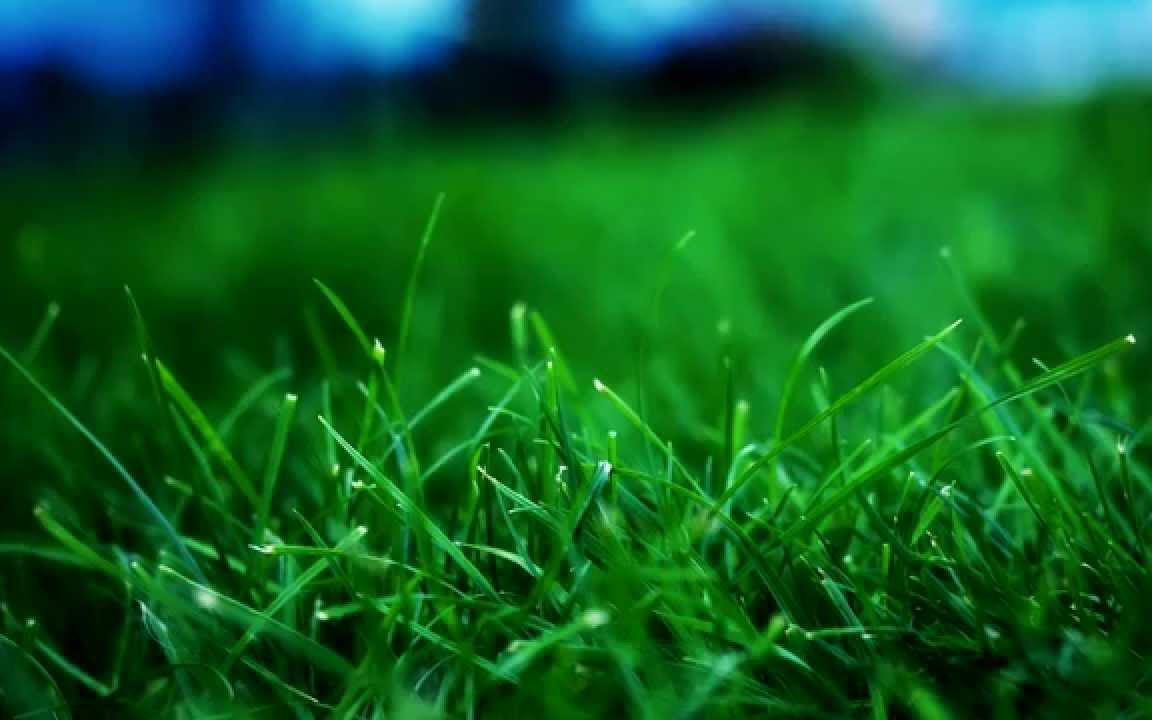 Выяснилось, какая погода ждет чепчан в последний выходной на этой неделе