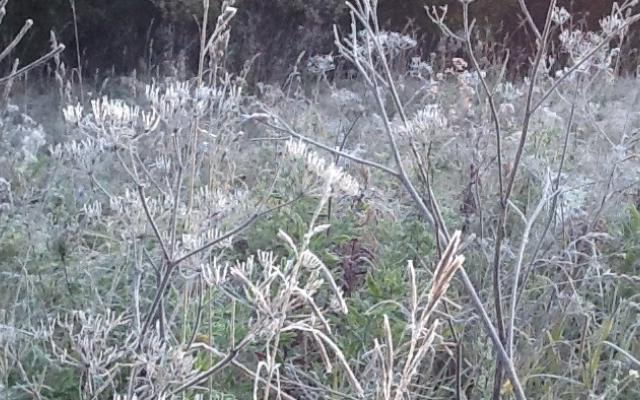 В Кирово-Чепецке объявлено метеопредупреждение: ночью до -3