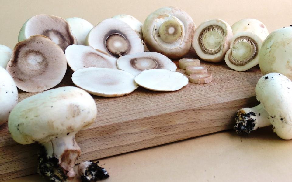 В Роскачестве рассказали о трех продуктах, которые нельзя мыть