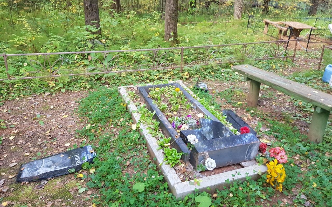 В полиции прокомментировали осквернение могил на кладбище в Чепецком районе