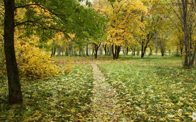 Идет похолодание: прогноз погоды в Кирово-Чепецке на выходные