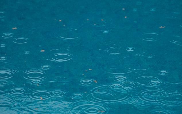 Погода в Кирово-Чепецке: в городе будет дождливо